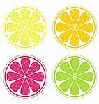 Lemon, lime, orange and red grapefruit isolated on white background. Stylized Vector Illustration of fresh fruit.