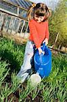 Little girl is watering onion from can on the vegetable garden in spring