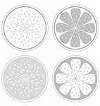 Stylized vector citrus slices isolated on white background. Black and white design elements. Give them your own color!