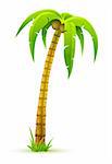 palm tree - vector illustration, isolated on white background