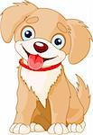 Vector illustration of a cute puppy wearing a red collar