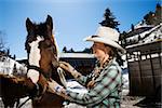 Attractive young woman wearing a cowboy hat and grooming a horse. Horizontal shot.