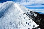 Snowy mountain peak with greenery on one side. Horizontal shot.