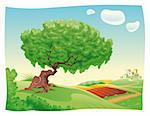 Countryside with tree. Vector and cartoon landscape. Objects isolated.