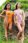 Low angle portrait of two attractive young women wearing bikinis and standing in the grass on a hillside next to a rock. Vertical shot.