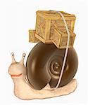 Funny snail with wooden boxes. Isolated over white