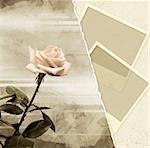 Grunge background with rose and photoframes