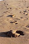 Trace of a foots of the person on sea sand