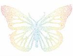 Hand-drawn doodle butterfly vector with floral, bird, and butterfly elements.  Colors are easily editable.