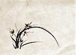 chinese painting of  orchid, used as background