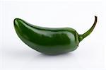 Fresh Jalapeno Pepper on White Background