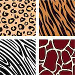 Vector Illustration of tiger, zebra, giraffe and leopard pattern. Animal print pattern.