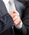 Handshake between two businessmen in the office
