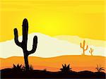 Yellow desert scene with cactus palnts, weeds and mountains. Sunset in mexico desert.