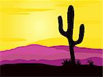 Pink and yellow desert scene with cactus palnts, weeds and mountains. Sunset in mexico desert.