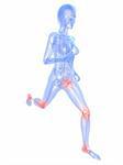 3d rendered illustration of a running skeleton with highlighted knee and hip