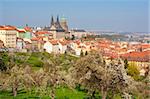 prague - view of hradcany castle and st. vitus cathedral in spring