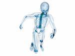 3d rendered illustration of a running human skeleton