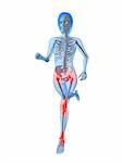 3d rendered illustration of a running female skeleton with highlighted joints