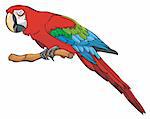 Bright colored parrot, sitting on a branch, photo-real vector illustration