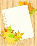 Japanese reed mat, paper sheet and autumn leafs