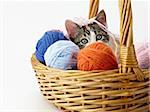 tricolor female kitten playing with ball of whool on pink background. Horizontal shape, copy space