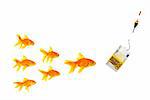 Goldfishes and money on a white background