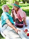 Romantic senior couple on a picnic.  He's feeding her grapes.