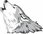 Wolf head  as a simbol, vector illustration.