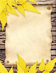 Grunge background with paper sheet and autumn leaves