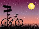 Night landscape with a bike. Vector illustration.