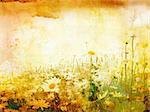 Beautiful grunge background with meadow of daisies