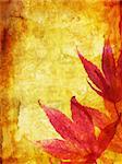 Beautiful autumn, grungy background with maple leaves