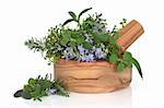 Herb leaf selection of golden thyme, oregano, purple sage, mint and  rosemary in flower in an olive wood mortar with pestle, isolated over white background.