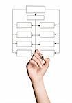 Hand Drawing Blank Organization Chart