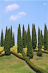 Cypress trees and flower beds in botanical garden