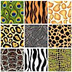 Set seamless the patterns animals. Vector illustration