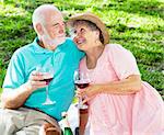 Senior couple drink wine on a romantic picnic in the park.