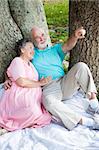 Senior couple relaxing and watching birds in the park.
