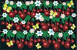 Cherries ,flowers,butterflies  at the black background.