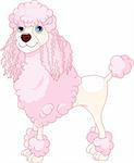 Adorable illustration of cute Pink Poodle