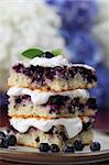 Delicious homemade blueberry cake with whipped cream. Shallow DOF