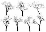 Set ausführliche Baum Silhouetten, Vektor