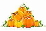 hill harvest of orange ripe pumpkins vector illustration, isolated on white background