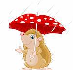 Cute little Hedgehog under umbrella presenting