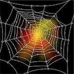 Autumn background with a spider's web