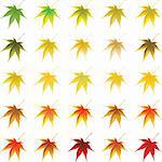 Vector autumn leaves and seamless vein background