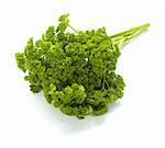 close up of salad parsley