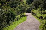 Windy Costa Rica road near Santa Elena