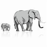fully editable vector illustration of wild elephants